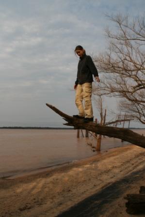 Ithana auf einem Ast